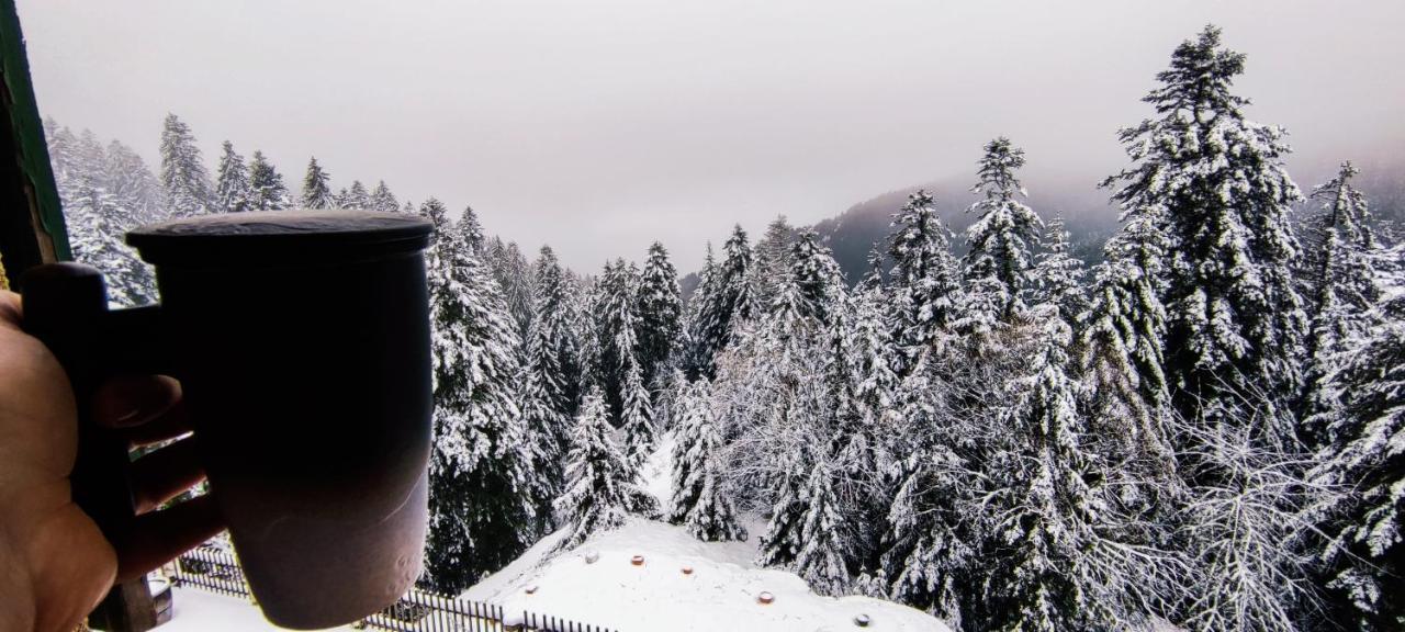 La Cabane De Marie La Bollène-Vésubie Exteriör bild